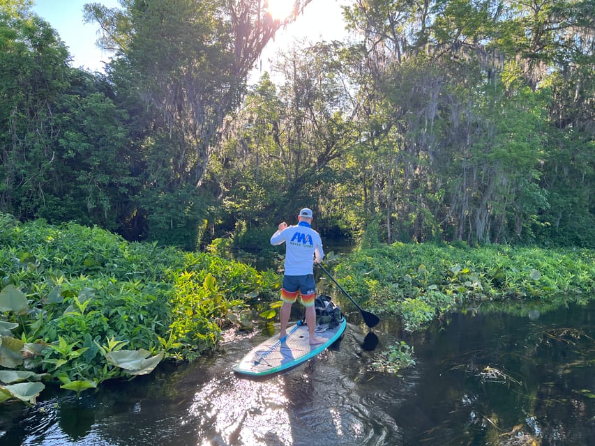 Wekiva Wildlife kayaking Adventure Tour - Housity
