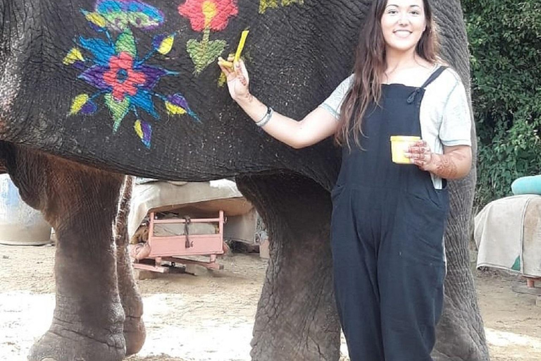 Jaipur: Hathi Gaon Elephant Riding, Painting, Feeding & More Riding on Elephant with Photogarphy
