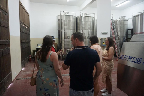 Creta: Passeio de dia inteiro pelos vinhos de Creta, azeite de oliva, raki e comidaCreta: vinho cretense de dia inteiro, azeite e excursão gastronômica