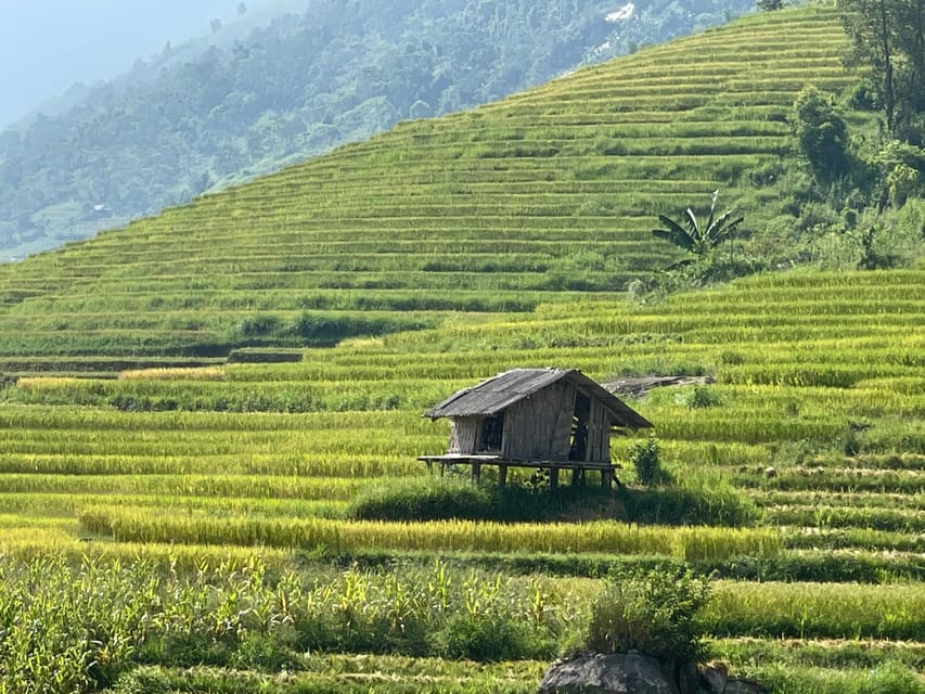 Sapa, Soldat Muong Hoa Valley et Homestay Trekking 2 jours - Hizvo