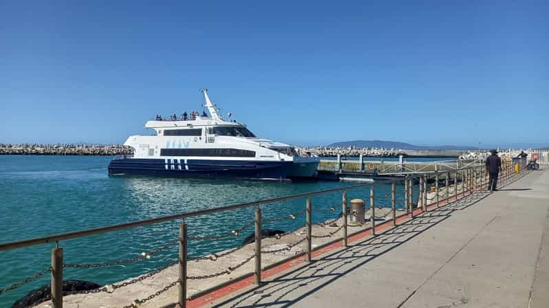 Robben Island,Table Mountain Full Day Private Tour Cape Town | GetYourGuide