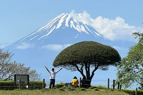Hakone Hachiri: Old Tokaido Highway Hiking Tour