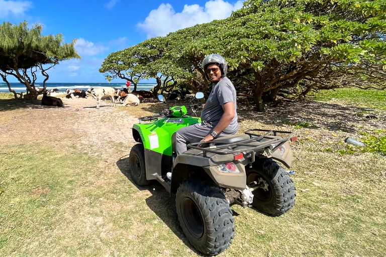 Ten zuiden van Mauritius Quadbike en snorkelen Blue BayStandaard Optie