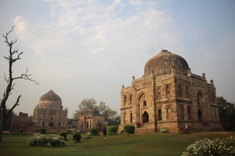 Delhi: Visita turística de Delhi de un día en transporte públicoVisita privada