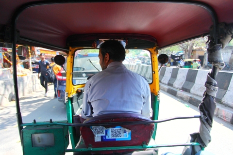 Delhi: Delhi Sightseeingtour van een hele dag met het openbaar vervoerGedeelde rondleiding