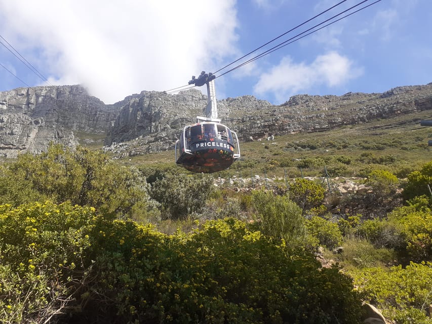 Robben Island, Table Mountain E Kirstenbosch, Da Città Del Capo ...