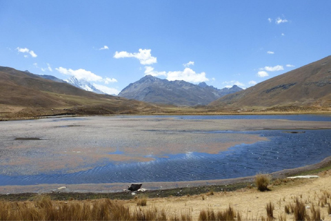 From Huaraz: Excursion to Nevado Pastoruri and Climate Change Route From Huaraz: Excursion to Nevado Pastoruri - Foreigners