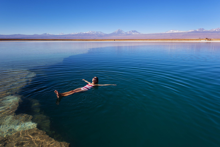San Pedro de Atacama: Laguna Cejar Half-Day Guided Tour