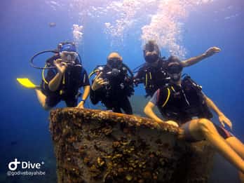 Bayahibe: PADI Open Water-kurs av Go Dive Bayahibe