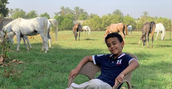 Luxor: Farm Tour 30 Hektar (Frühstück mit arabischen Pferden)