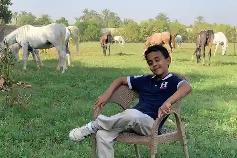 Louxor : Visite de la ferme de 30 hectares (petit déjeuner avec des chevaux arabes)
