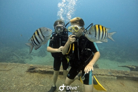 Bayahibe - PADI Advanced Course Diving - Go DiveBayahibe - Padi Adanced Course Diving - Go Dive