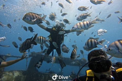Bayahibe - PADI Advanced Course Diving - Go Dive Bayahibe - Padi Adanced Course Diving - Go Dive