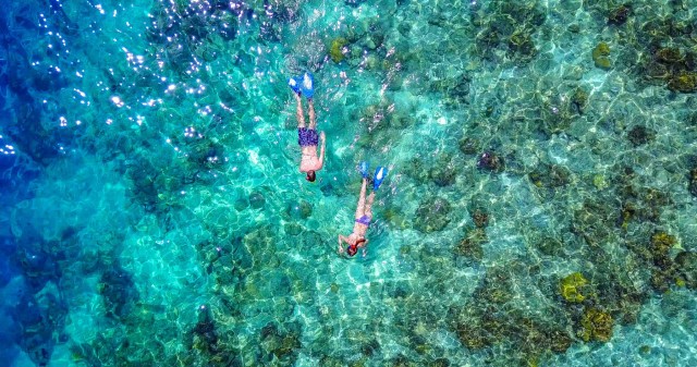 Visit Bayahibe Snorkeling Tour - Sea, Cotubanama park & Cenotes in La Romana