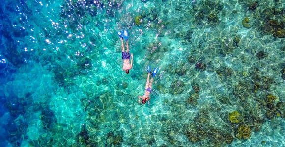 Bayahibe: Snorkeling Tour - Sea, Cotubanama park & Cenotes