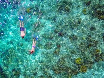 Bayahibe: Snorkeling Tour - Sea, Cotubanama park & Cenotes