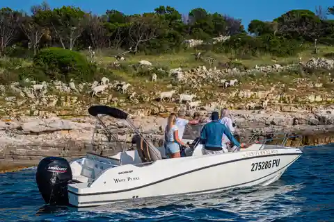 Desde Fažana: Excursión privada en barco por las Islas Brijuni