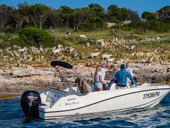 From Fažana: Private boat tour of Brijuni Islands