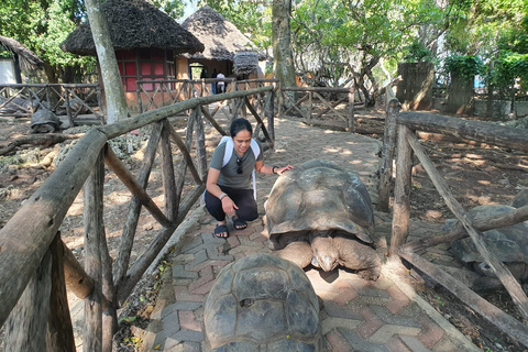 Stone Town Walking met Prison Island Halve dagtrip