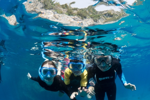 Guided snorkelling with a marine biologist from Sorrento