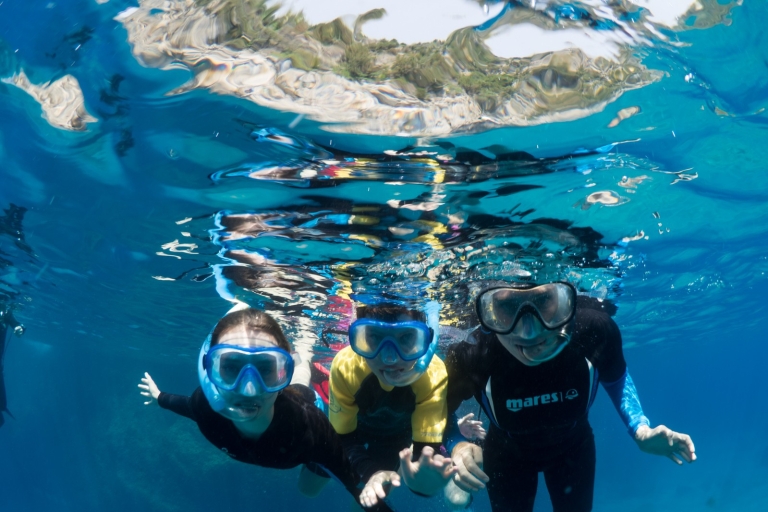 Guided snorkelling with a marine biologist from Sorrento