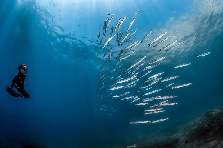 Sorrento: Schnorchel-Tour am Morgen mit einem Meeresbiologen.