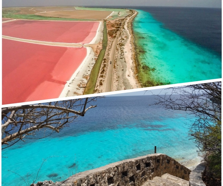 Private Bonaire Island Tour with Transfer