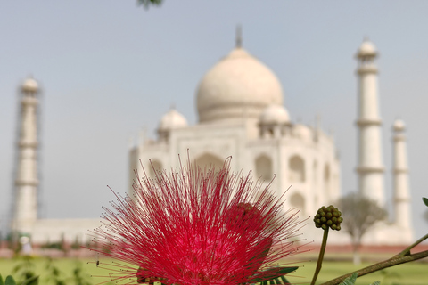 From Agra: Agra Local Sightseeing By Rickshaw Auto/ Tuk Tuk