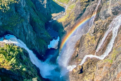 Vanuit Eidfjord: Vøringfossen Waterval Natuurrondleiding met GidsVan Eidfjord: Vøringfossen Waterfall Nature Tour met gids