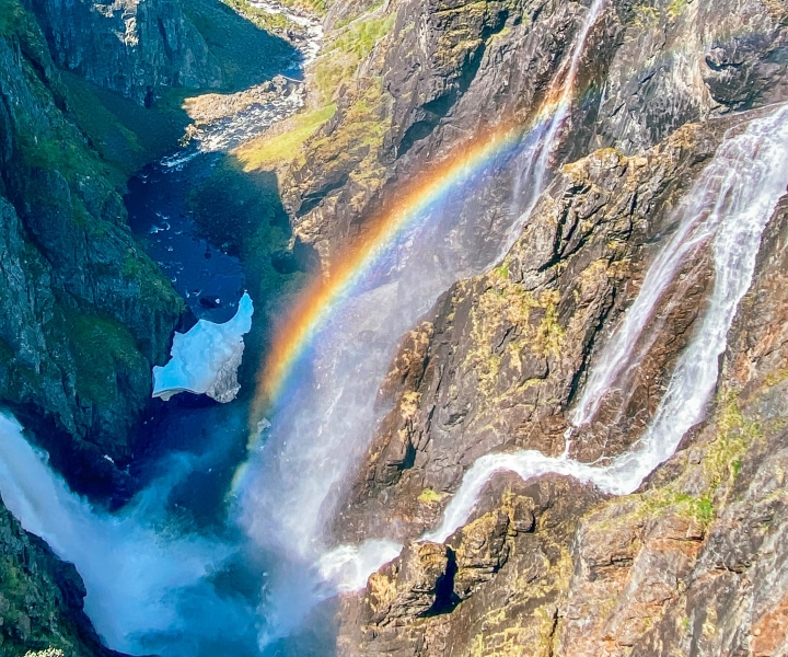 Da Eidfjord: tour naturalistico della cascata di Vøringfossen con guida