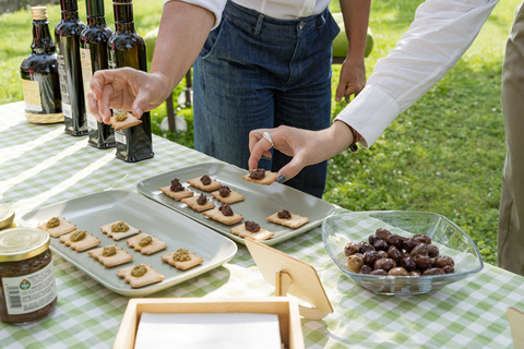 Bardolino: Lake Garda Oil Mill Tour with Olive Oil Tasting Tour in German