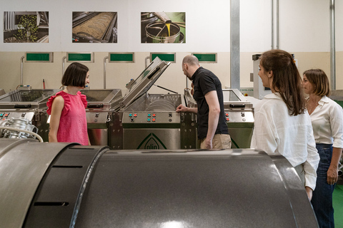 Bardolino: Lake Garda Oil Mill Tour with Olive Oil Tasting Tour in German