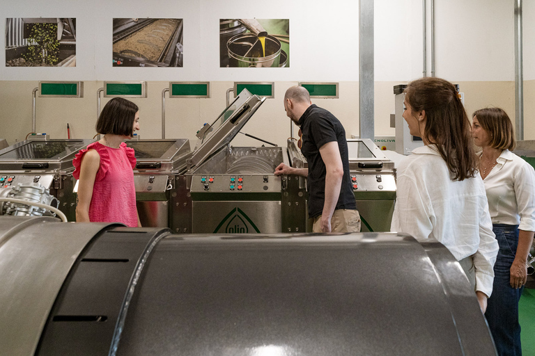 Bardolino: Lake Garda Oil Mill Tour with Olive Oil Tasting Tour in German