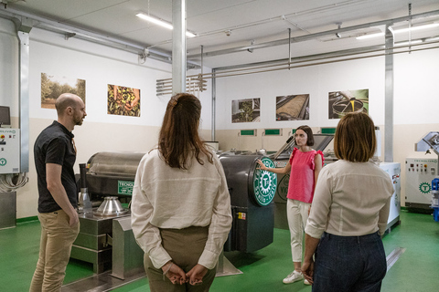 Bardolino: Lake Garda Oil Mill Tour with Olive Oil Tasting Tour in German