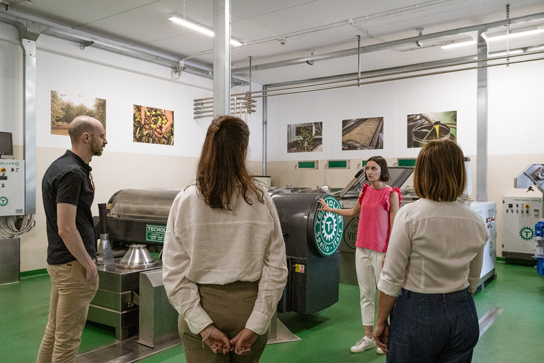 Bardolino: Lake Garda Oil Mill Tour with Olive Oil Tasting Tour in German