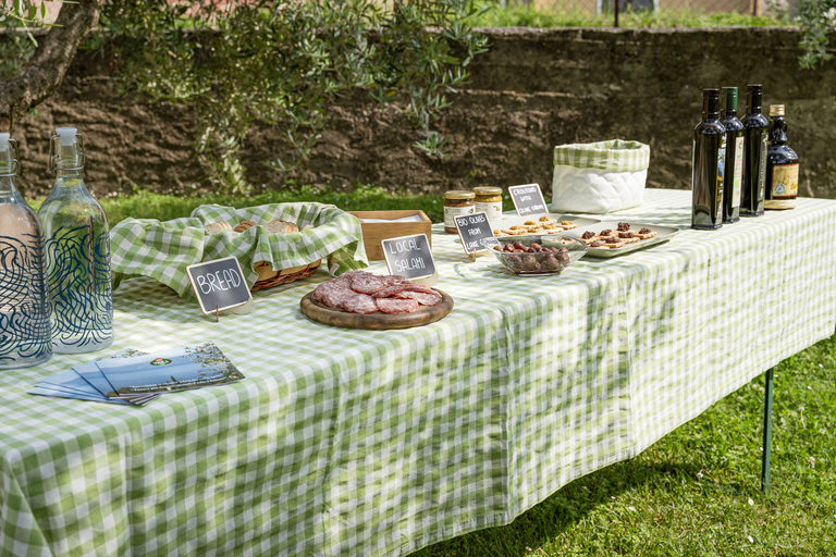 Bardolino: Lake Garda Oil Mill Tour with Olive Oil Tasting Tour in German