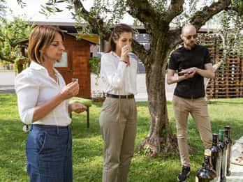 Bardolino: Ölmühlentour am Gardasee mit Olivenölverkostung