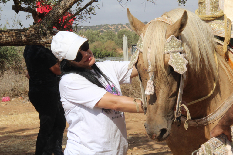 Agadir: Horse Ride Experience With Flamingos Watching