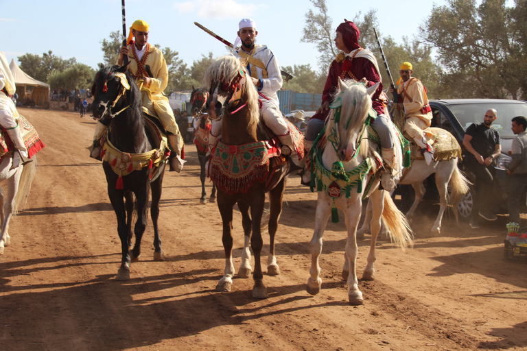 Agadir: Horse Ride Experience With Flamingos Watching