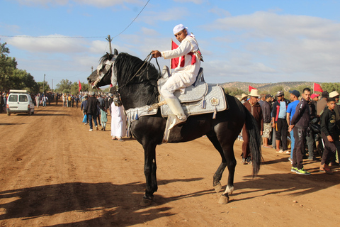 Agadir: Horse Ride Experience With Flamingos Watching