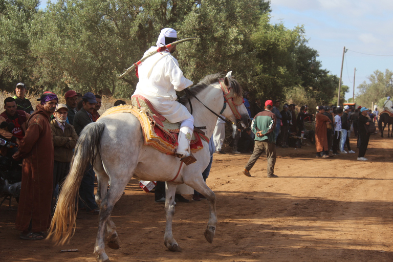 Agadir: Horse Ride Experience With Flamingos Watching