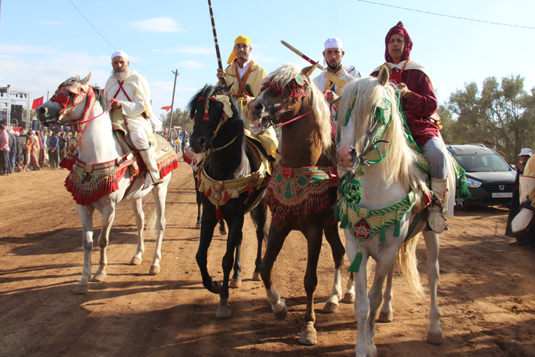 Agadir: Horse Ride Experience With Flamingos Watching