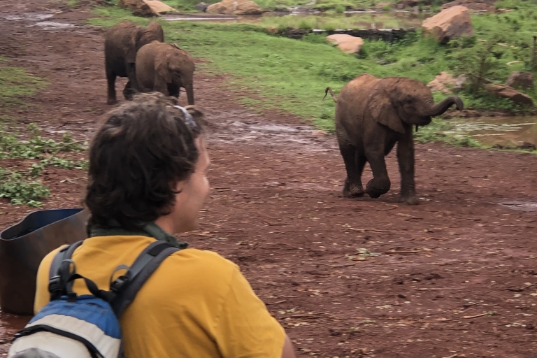 Jednodniowa wycieczka do Nairobi do sierocińca słoni i centrum żyraf