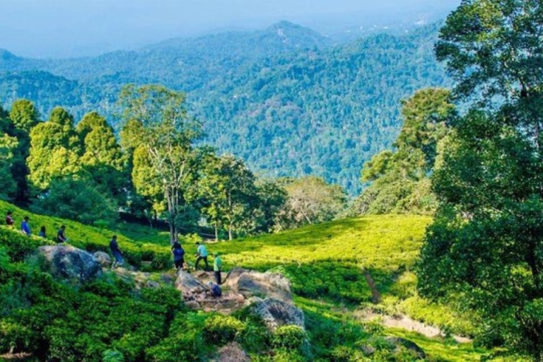 Kandy: ¡Aventura de 2 días con todo incluido en una plantación de té!