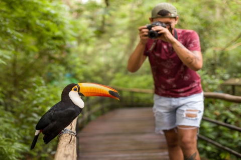 Foz do Iguaçu : Le côté brésilien des chutes + le parc ornithologique