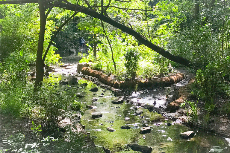 New York City : Visite à pied des lieux secrets de Central ParkLieux secrets de Central Park