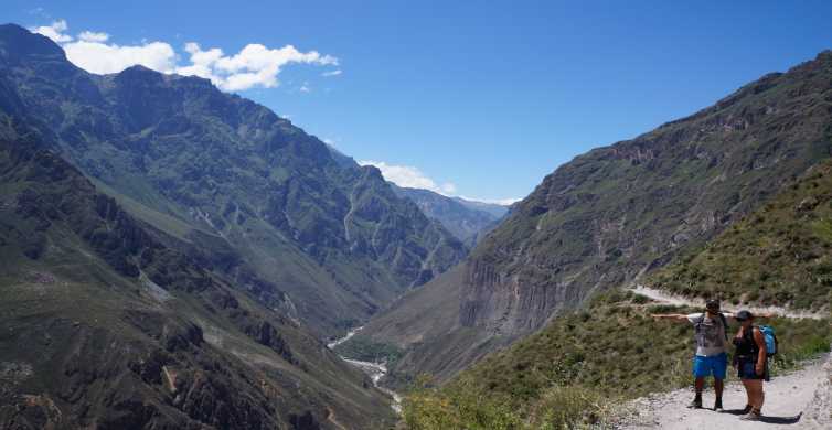 Da Arequipa: tour di trekking del Canyon del Colca di 2 giorni