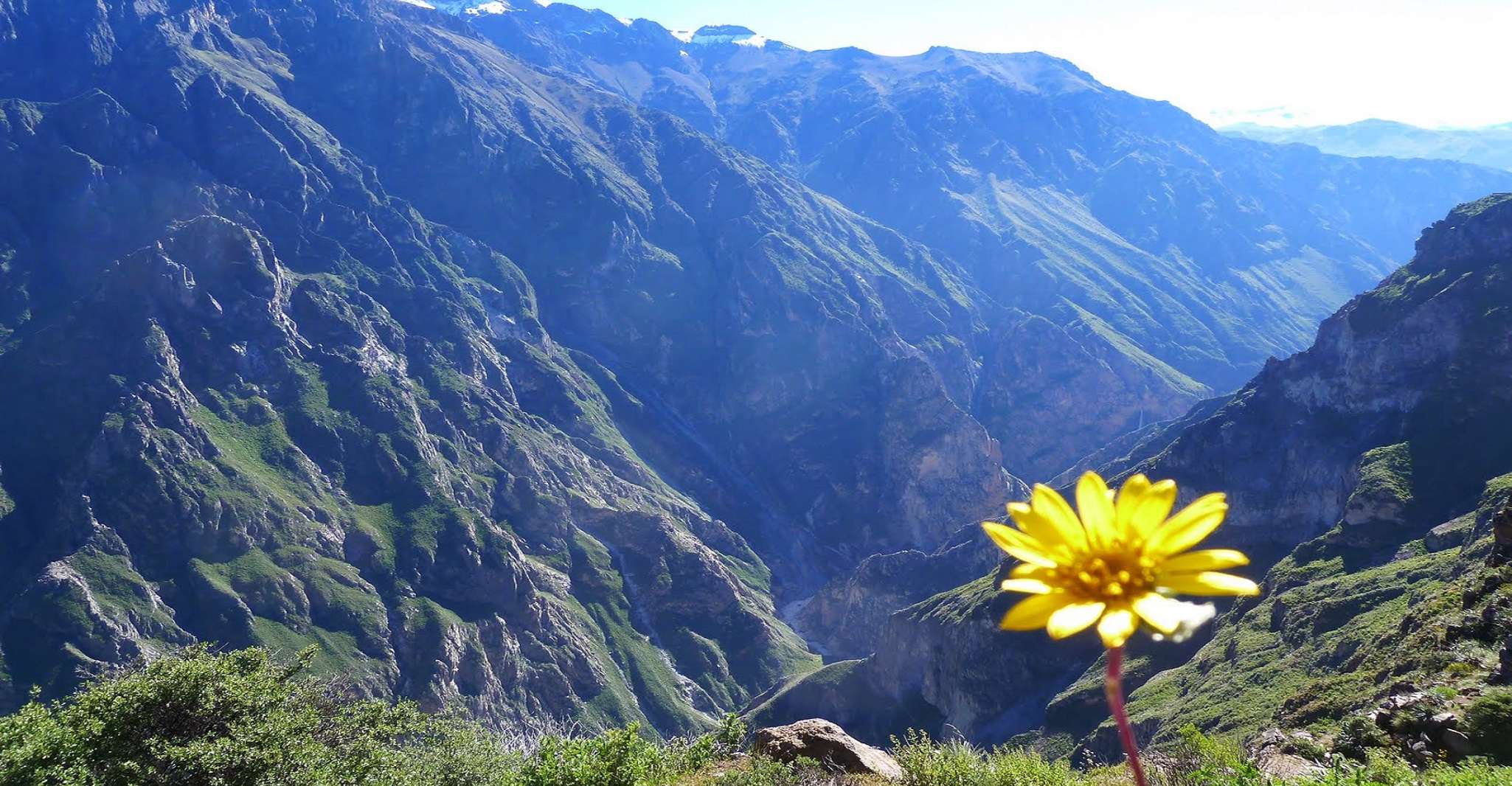 From Arequipa, 2-day Colca Canyon Trek Tour - Housity