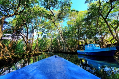 Private tour: Dudu cenotes + Playa Grande Beach + much more From Puerto Plata: Dudu cenotes + Playa Grande Beach + more