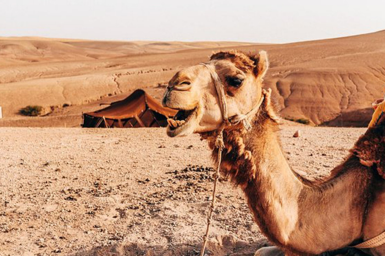 Agafay Desert: Magical Half-Day Lunch with Pool Swim